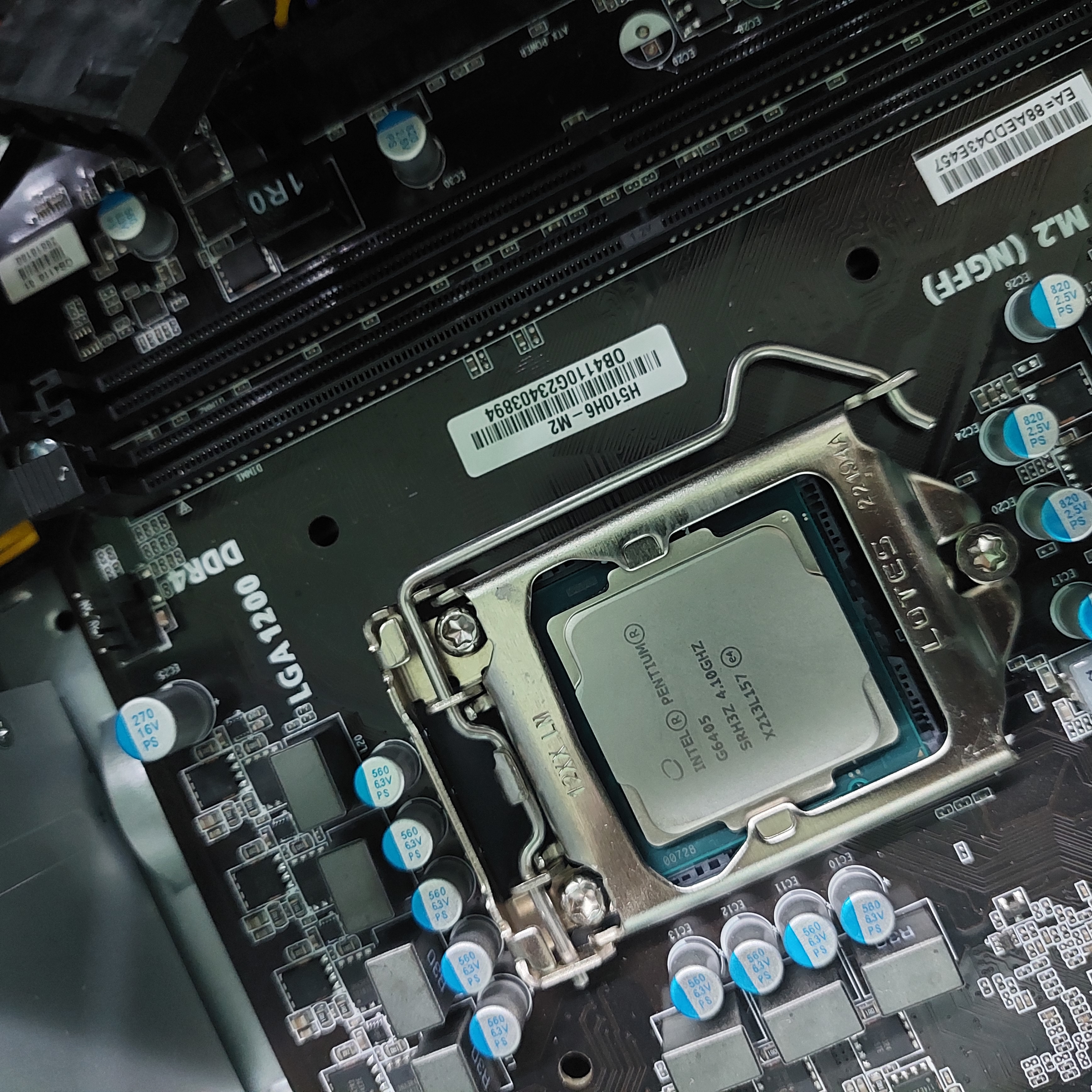 Placa madre Asus