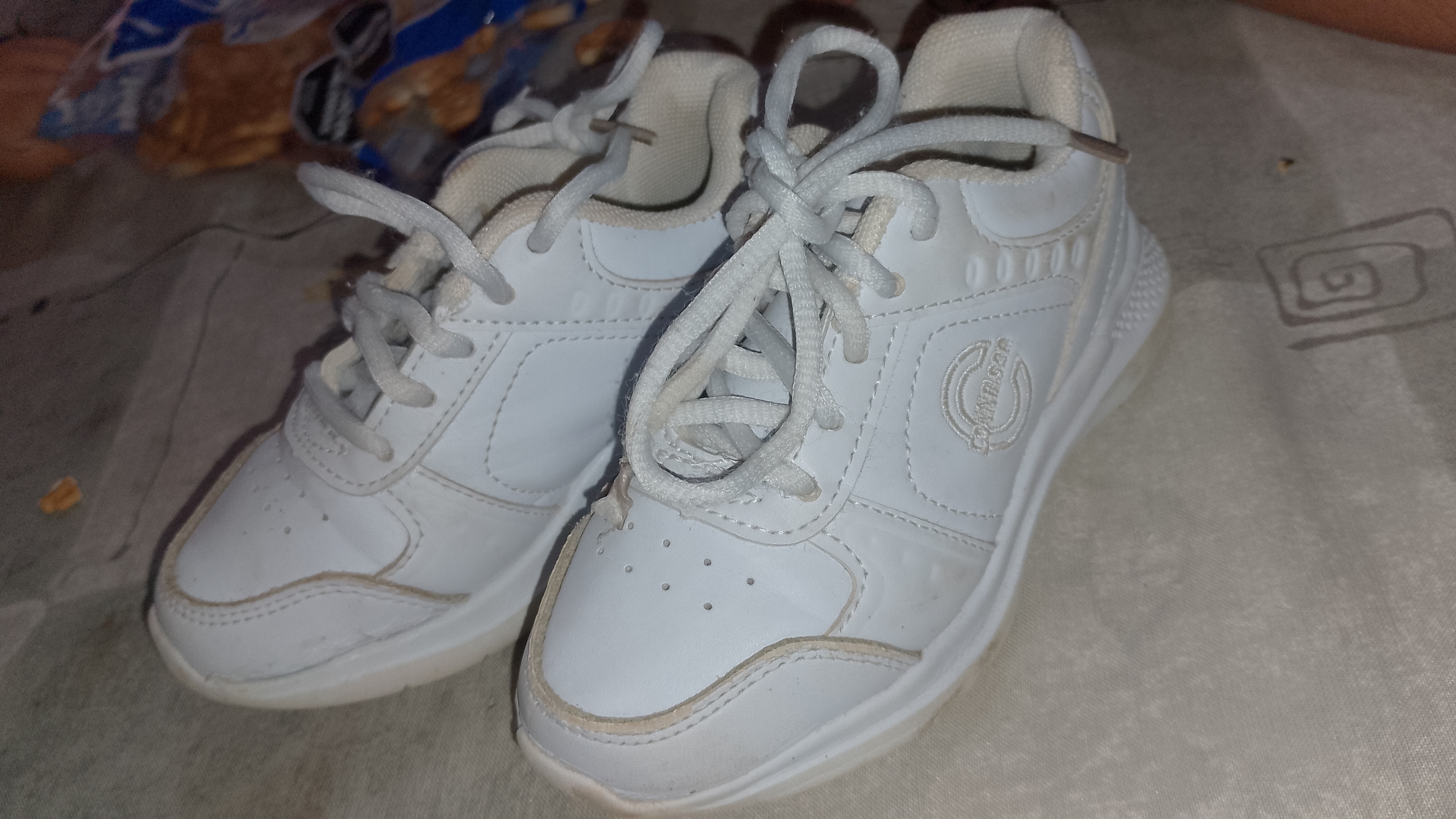 Zapatillas